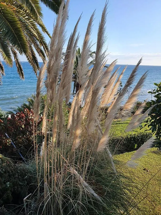 Apartment Veramar Bloque 2 - Appartement 2 C Estepona Spain